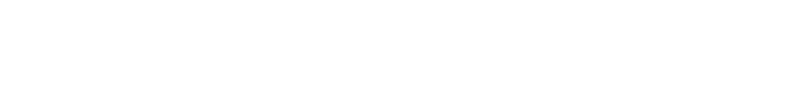 BNR logo white png@3x
